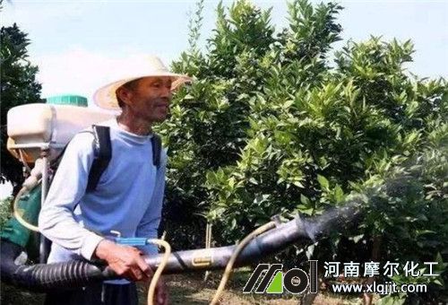 噴灑葉面肥時(shí)間
